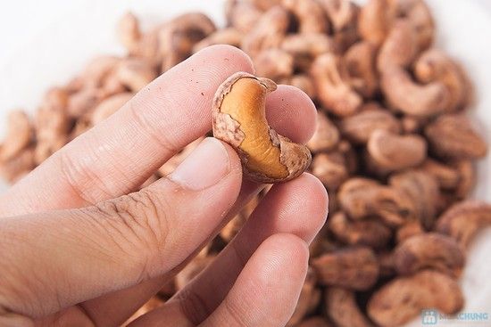 Raw Cashews Nuts Export from Vietnam - 100% Organic High Quality (Certification: GAP, HACCP...) - Image 3
