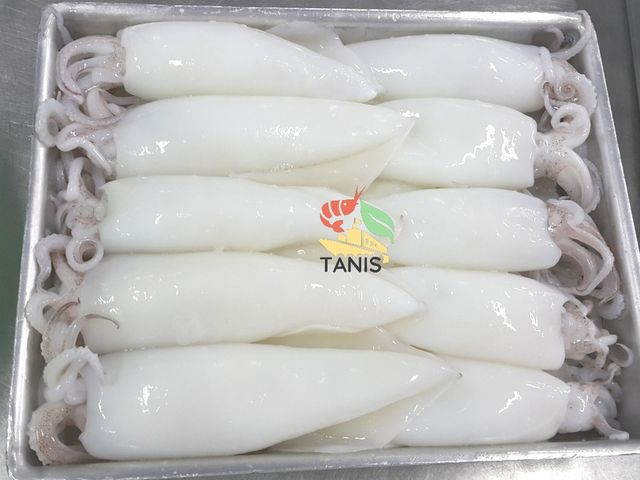 High Quality Frozen Cleaned Squid From Vietnam Manufacture - Image 4