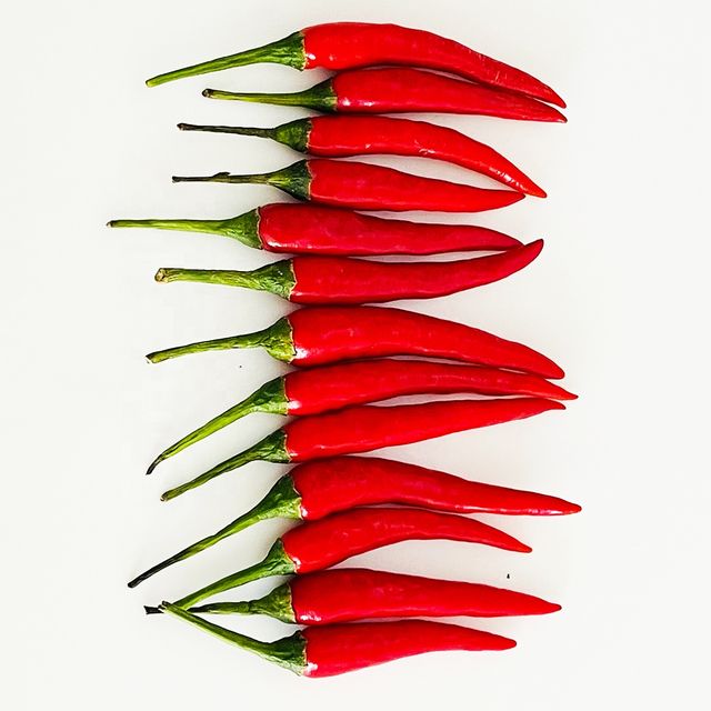 Single Spices and Herbs Fresh Long Red Spicy chilli With 2 months Shelf Life Frozen Style from Vietnam For Export - Image 5