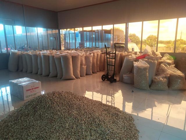 Good taste Raw Cashew nuts from Vietnam nuts & kernels for snack origin Vietnam whole cashew nut and tropical fruits vacuum bag - Image 3