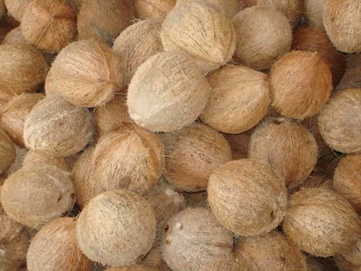 Semi husked Coconut Fresh From Vietnam Best Price for Export with 100% High Quality Product - Image 5