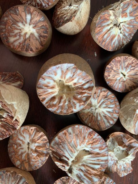 Vietnam Latest Harvest Hot Promotion Best Quality Supari Betel Nut Areca Nut - Image 3