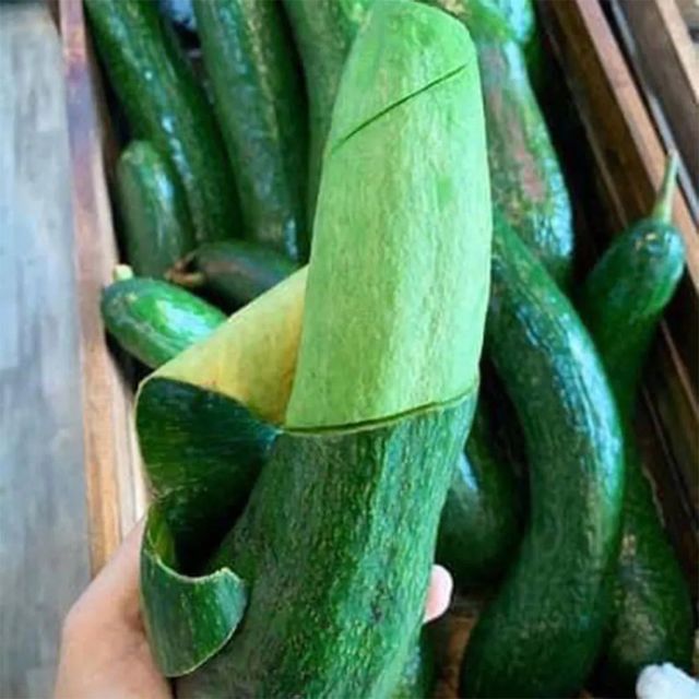 Fresh Avocado Made In Vietnam For Export With The Best Price Standard High Tropical Fruit New Crop 2023 - Image 4