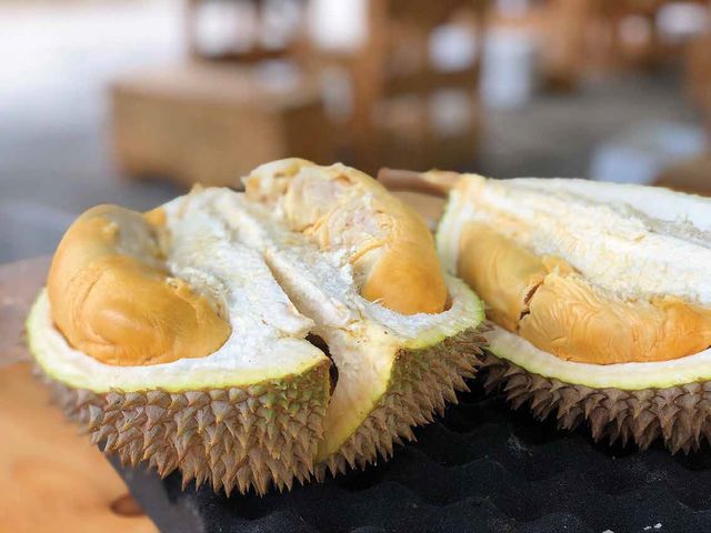 Vietnam Monthong Durian So Fresh Premium Quality Fresh Whole Piece /Frozen Pulp Durian Fruit Monthong - Image 5