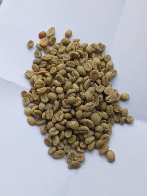 Premium Ethiopian Sidamo Grade 1 & Grade 2 Arabica Green Coffee Beans - Image 4