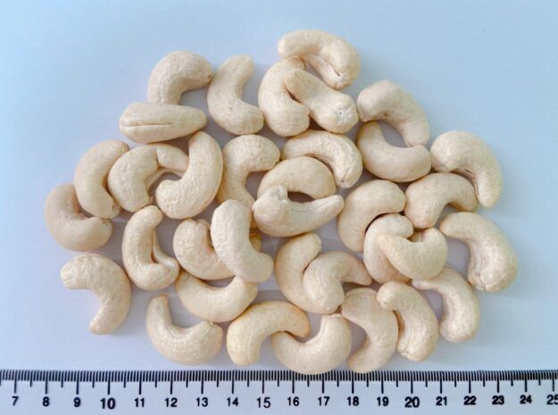 Vietnamese Cashew Nuts – product photo 4, product detail gallery