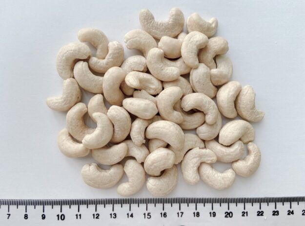 Vietnamese Cashew Nuts – product photo 9, product detail gallery