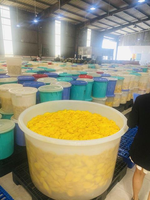 Soft Dried Mango (3% Sugar) – product photo 5, product detail gallery