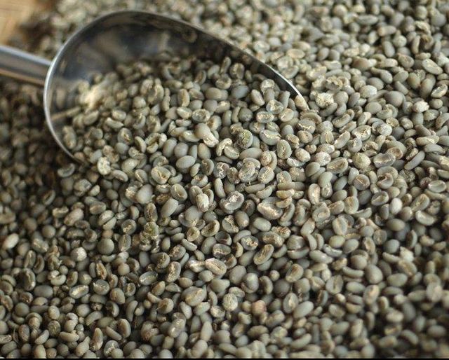 Gayo Aceh Arabica Green Coffee Beans Origin Gayo Highlands, Aceh, Indonesia - Image 1