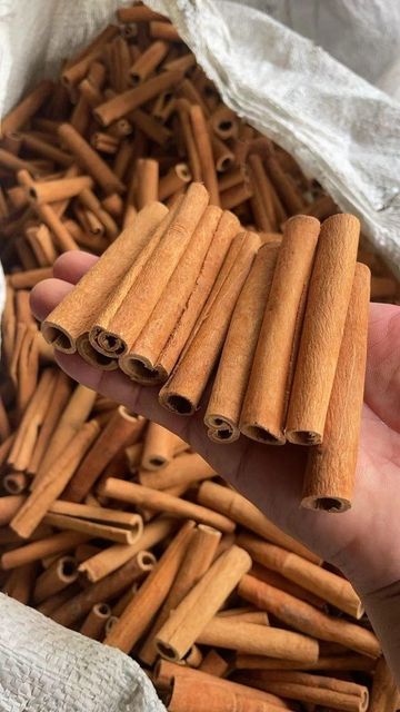 Cinnamon - Image 3
