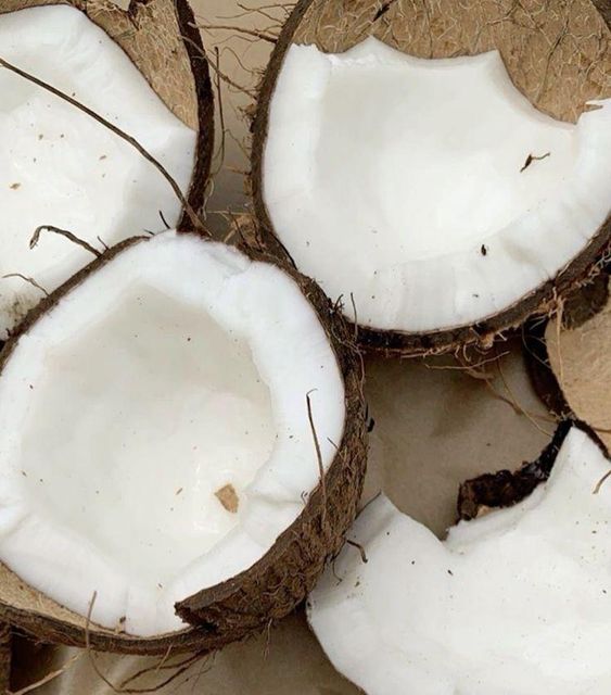 old coconut - Image 2