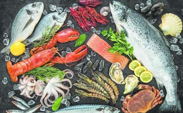 Fishery Products - Image 1