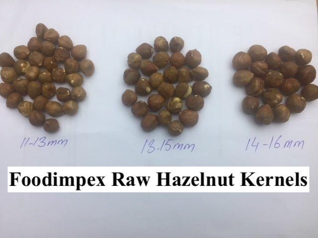 Hazelnut Kernels raw-natural Packaging Vacuum with outer - Image 1