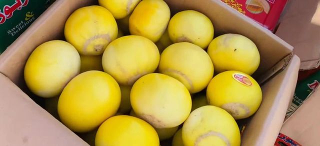 Premium A-Grade Melons – Fresh & Ready for Export Grade A - Image 2