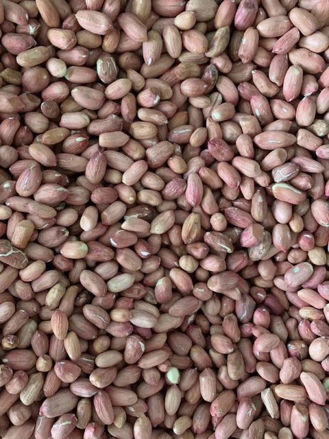 Henning Saint Peanuts Color Sorting Machine - Image 2