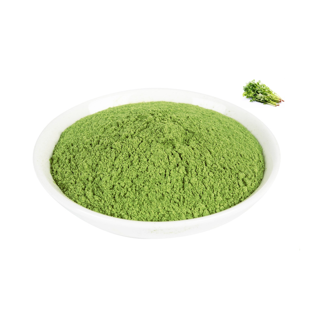 Coriander Leaves Extract Powder Bulk Coriander Seed Powder Coriander Powder - Image 2