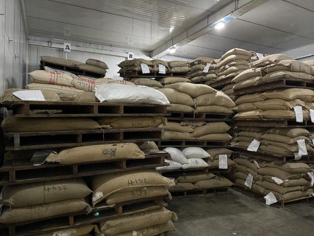 Robusta Coffee Beans and Arabica Coffee (High Quality) - Image 3