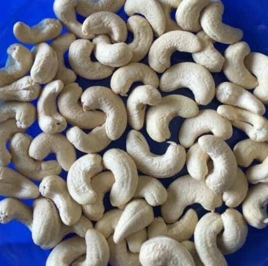 CASHEW KERNEL W180,W240,W320 AND W450 - Image 7