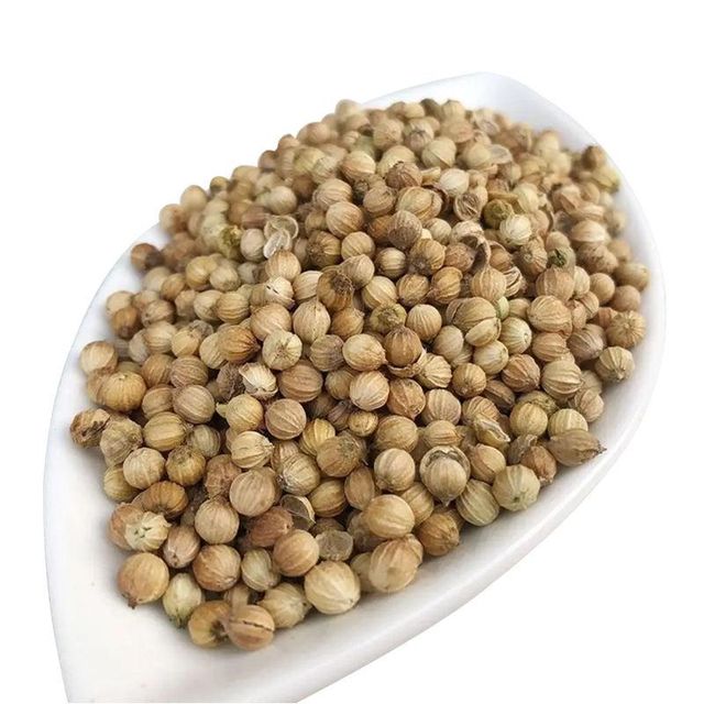 Dried coriander seeds herbs and spices best quality coriander seeds for sale - Image 3
