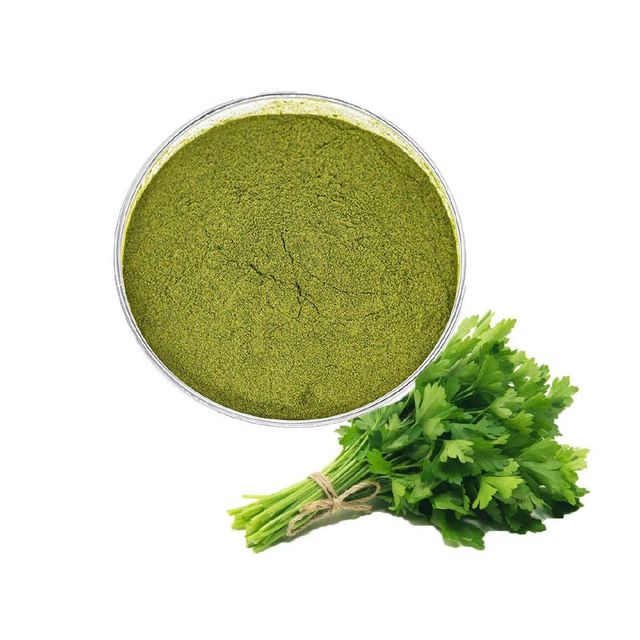 Coriander Leaves Extract Powder Bulk Coriander Seed Powder Coriander Powder - Image 3