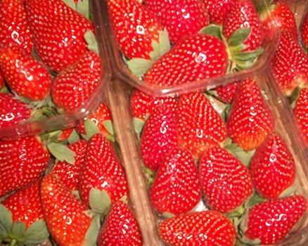 fresh strawberry Grade 1 Packaging cartoon Brand Name ayla - Image 3