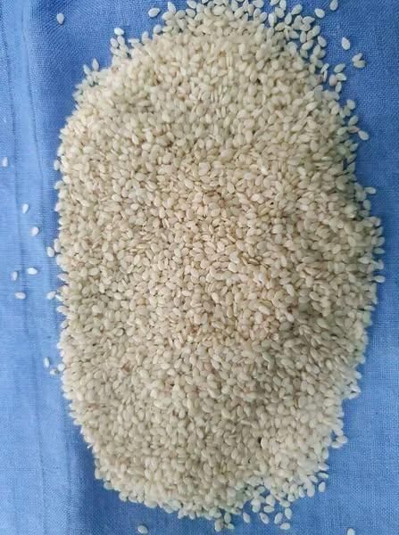 Sesame Seeds Place of Origin KENYA Net Weight Per Bag 50kgs Packing Material New Pp Bag Minimum Order Quantity 5000 Mt Available Bag Sizes 50kgs/bag, 1000kgs/bag - Image 2