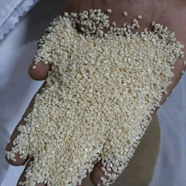 Sesame Seeds Place of Origin KENYA Net Weight Per Bag 50kgs Packing Material New Pp Bag Minimum Order Quantity 5000 Mt Available Bag Sizes 50kgs/bag, 1000kgs/bag - Image 1