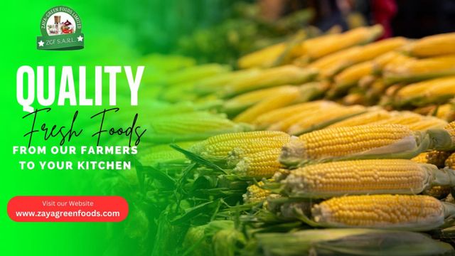 Corn Flour | wheat Flour |  Grade A Certification yes Place of Origin - Image 6