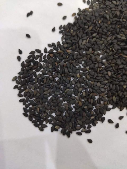 Sesame Seeds Place of Origin KENYA Net Weight Per Bag 50kgs Packing Material New Pp Bag Minimum Order Quantity 5000 Mt Available Bag Sizes 50kgs/bag, 1000kgs/bag - Image 4
