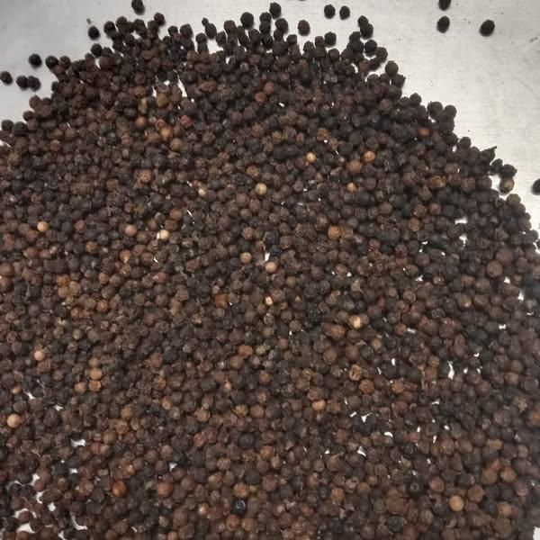 BLACK PEPPER 500gl 550 gl FOR SALE - Image 2