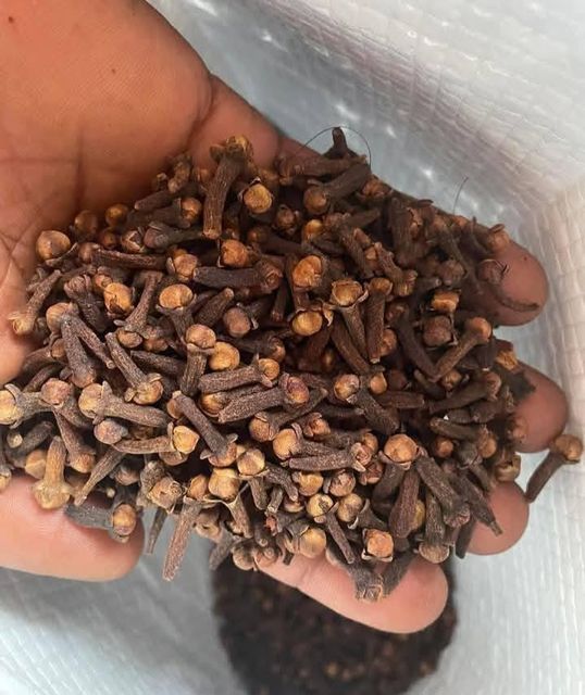 Madagascar Cloves Place of Origin KENYA Packaging 25kg Or 50 Kg Jute Bags With - Image 1