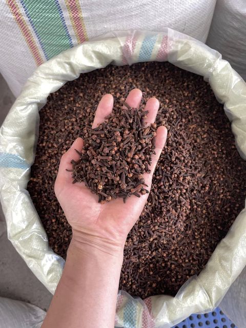 CLOVES - Image 1