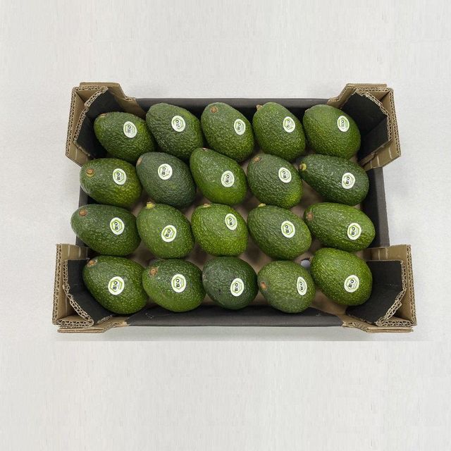 Fresh Hass Avocado / Avocados 4.5kg box – product photo 1, product detail gallery