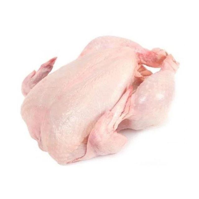 Halal Frozen Chicken Breast and Whole Frozen Chicken Box Style Packaging Feature Weight Shelf Origin - Image 1