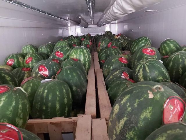 Watermelon – product photo 2, product detail gallery