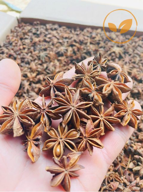 Star Anise - Image 2