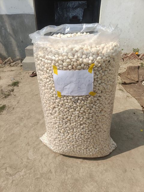 Fox Nuts 19-25mm (Raw) Grade A+,19-25mm Max. Moisture (%) 12 Place of Origin Bihar, - Image 3