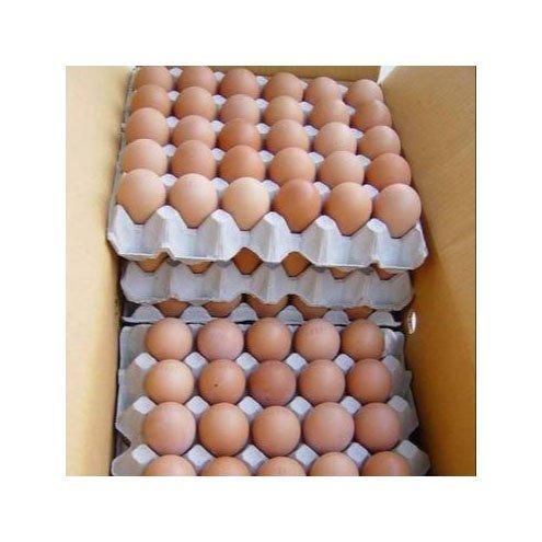 Brown Fresh Table Chicken Eggs, Chicken eggs in bulk Farm Fresh Chicken Eggs / Brown Chicken Eggs Best Quality - Image 1