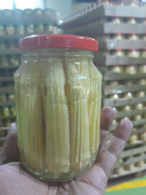 Pickle Baby corn Flavor Tangy Texture Crunchy Shelf Life 2 years Purity Preservative-free Processing Method Natural Pickling - Image 7