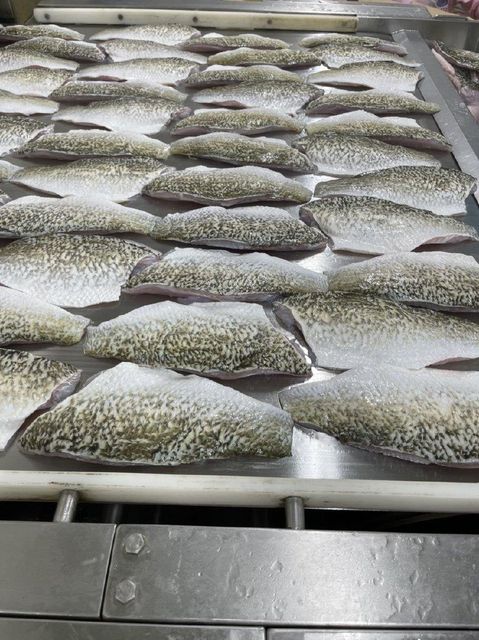 Barramundi Fillet Skin on  Manufacturer South Pacific Fishery Certification FDA, EUcode, SFDA, - Image 2
