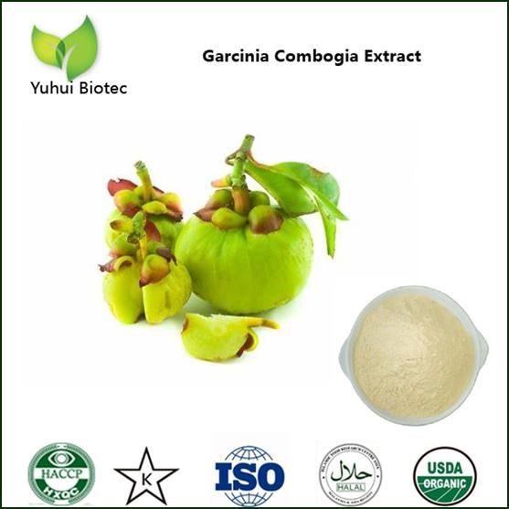 Garcinia Cambogia Extract with 50% Hydroxycitric Acid - Image 2