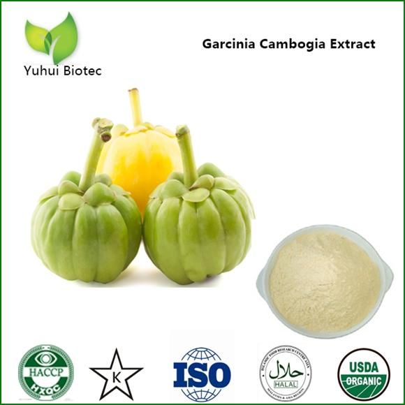 Garcinia Cambogia Extract with 50% Hydroxycitric Acid - Image 1