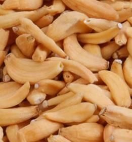 Dehydrated Fruits Form Dehydrated And Powered Available Fruits Banana, Mango, Strawberry Available Vegetables Onion, Garlic, Tomato, - Image 6