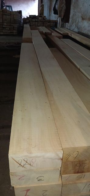 Cedar wood for venners , carpentry , structural ,luxury home design , Moroccan Cedar wood export high quality . - Image 3