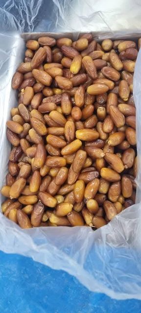 Tunisian Deglet Nour Dates for Export - Image 5