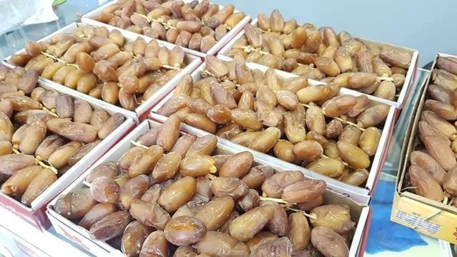 Tunisian Deglet Nour Dates for Export - Image 3