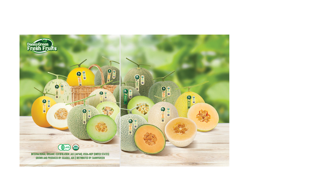 Organic Musk Melons (USDA-NOP ORGANIC & JAS ORGANIC certifications) - Image 1