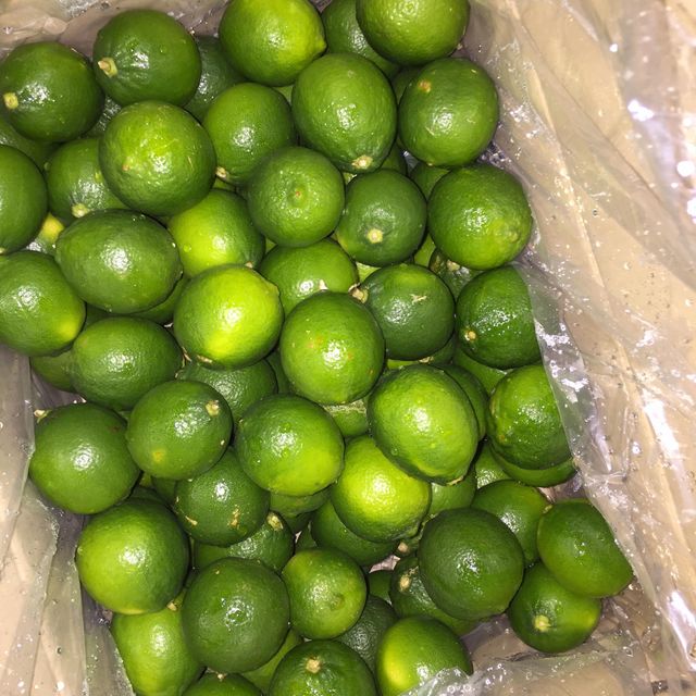 Hot selling Fresh Green Seedless Lemon /Lime Grade A High quality export for wholesales - Image 4