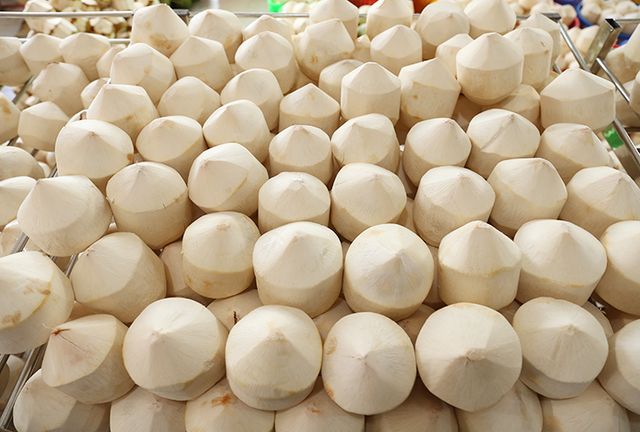 Cheap Price Fresh green young coconut Top quality best price coconut for wholesales – product photo 4, product detail gallery