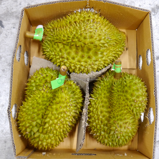 Monthong Fresh Durians fruit export from Vietnam with Yellow Premium quality durian fruit fresh - Image 3